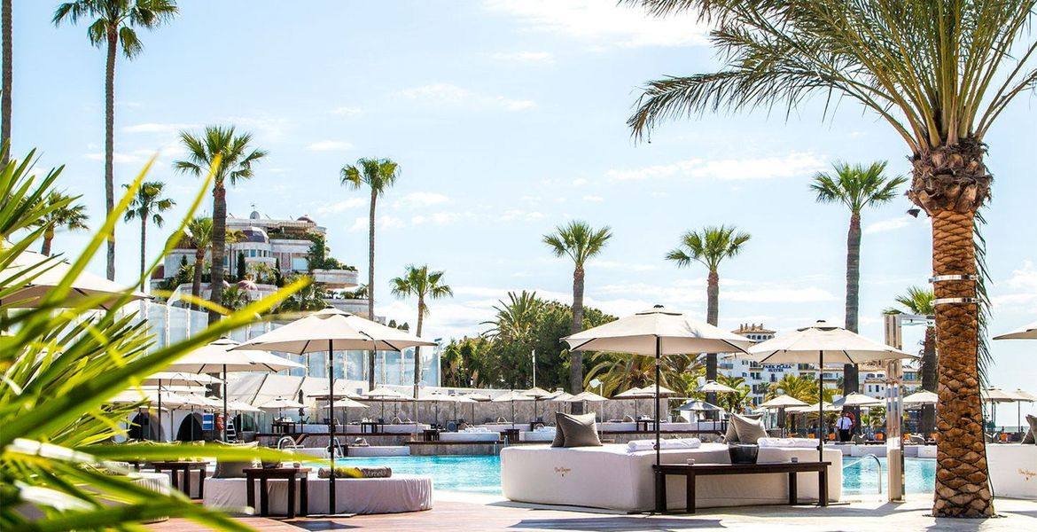 Ocean Club Beach Club Marbella  Puerto Banus Beach Club With Pool