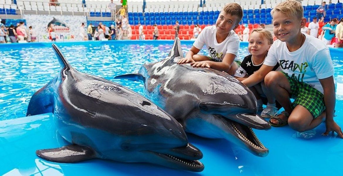 El mejor parque marino y delfinario de la Costa del Sol.