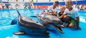 El mejor parque marino y delfinario de la Costa del Sol.