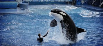 El mejor parque marino y delfinario de la Costa del Sol.