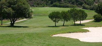 Enjoy an amazing Santa Clara Golf Course.