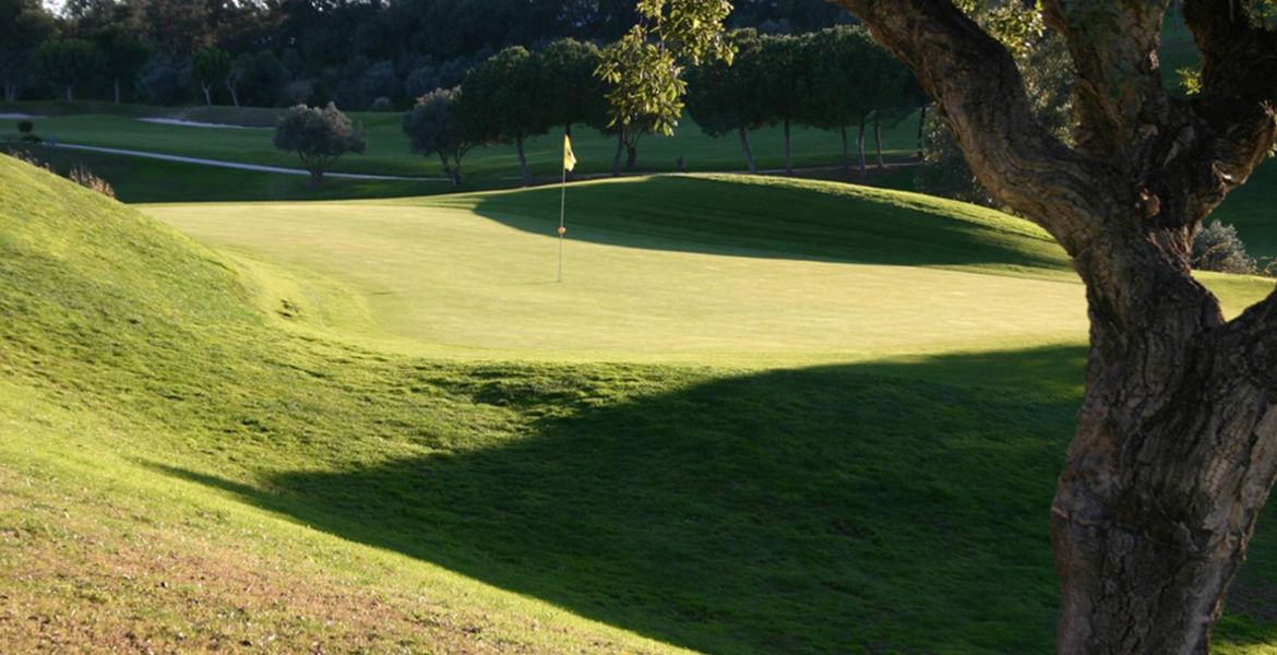 Disfruta del increíble campo de golf de Santa Clara.