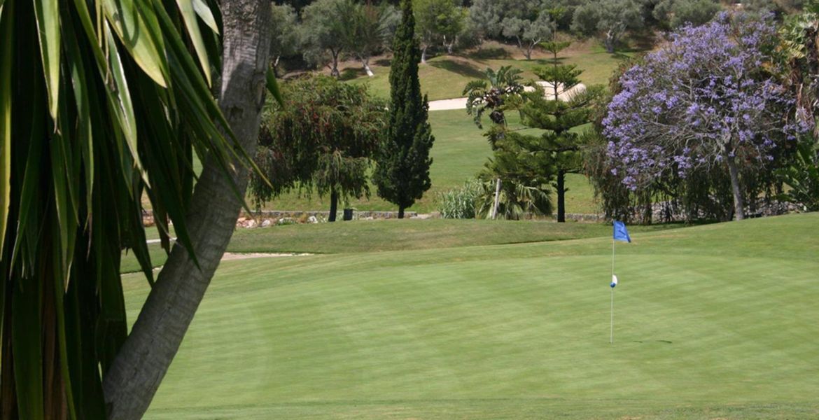 Enjoy an amazing Santa Clara Golf Course.