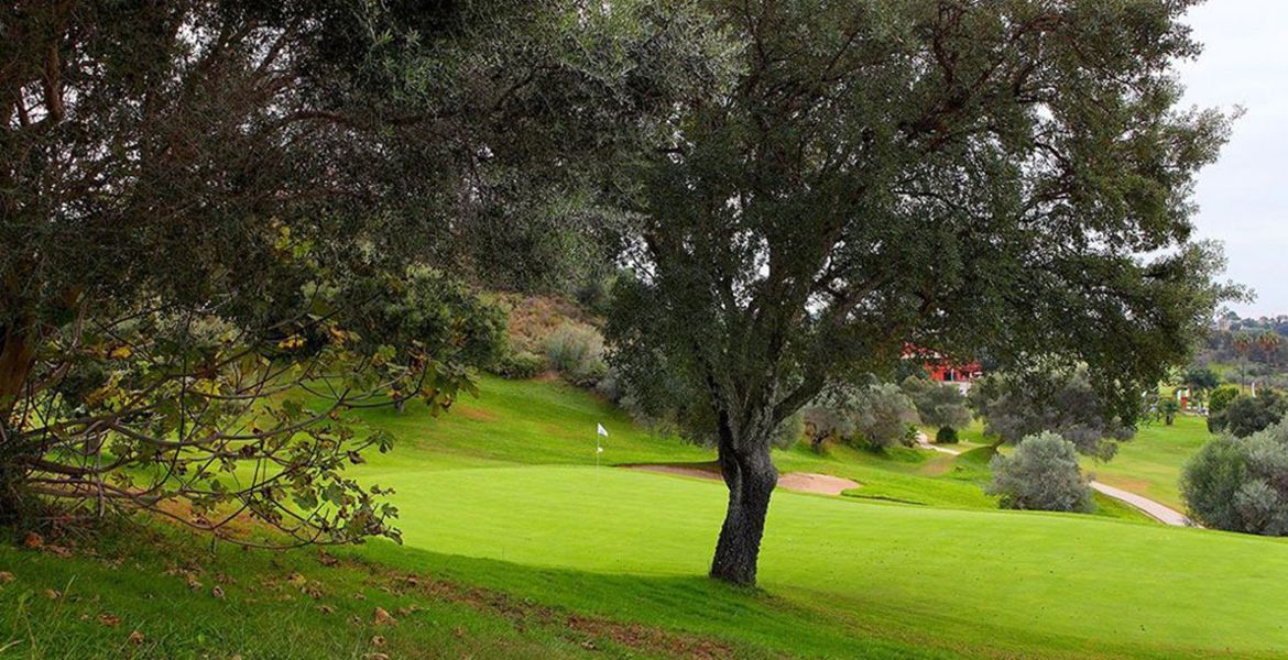 Disfruta del increíble campo de golf de Santa Clara.