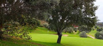 Enjoy an amazing Santa Clara Golf Course.