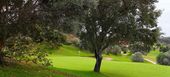 Enjoy an amazing Santa Clara Golf Course.